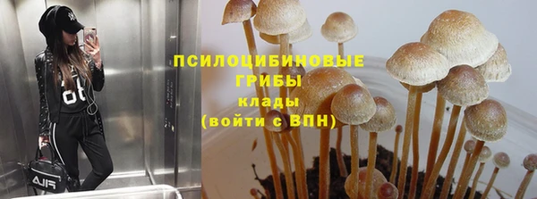 прущая мука Инта