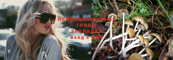 прущая мука Инта