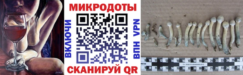 купить наркотики сайты Юрьев-Польский Псилоцибиновые грибы ЛСД